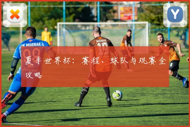 夏季世界杯：赛程、球队与观赛全攻略