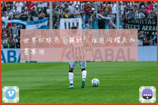世界杯球员全解析：谁将闪耀美加墨赛场