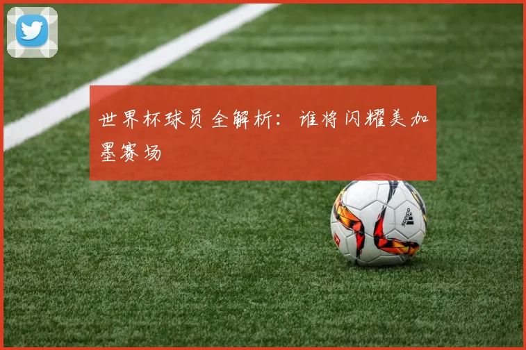 世界杯球员全解析：谁将闪耀美加墨赛场